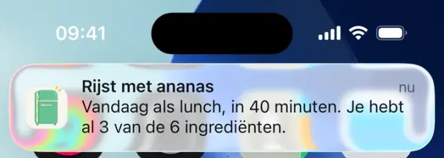 Melding: Rijst met ananas. Vandaag als lunch, in 40 minuten. Je hebt al 3 van de 6 ingrediënten.